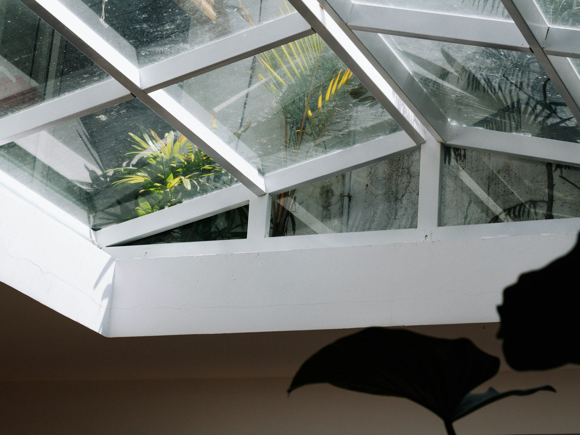 Close-up of a white wooden window frame with glass.